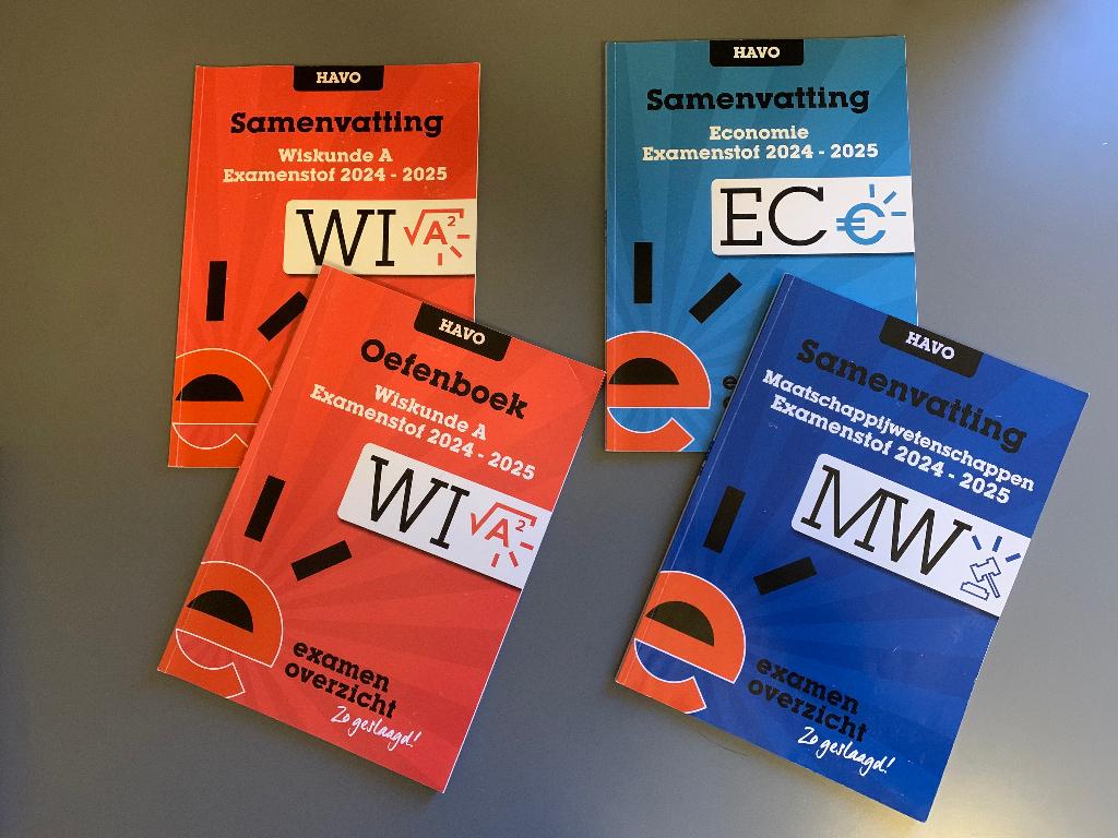 ExamenOverzicht examenbundel, samenvatting en oefenboek, Boeken, Ophalen of Verzenden, Zo goed als nieuw, HAVO, ExamenOverzicht