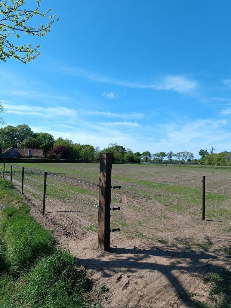 Weidegang met schuilstal, Weidegang, 2 of 3 paarden of pony's
