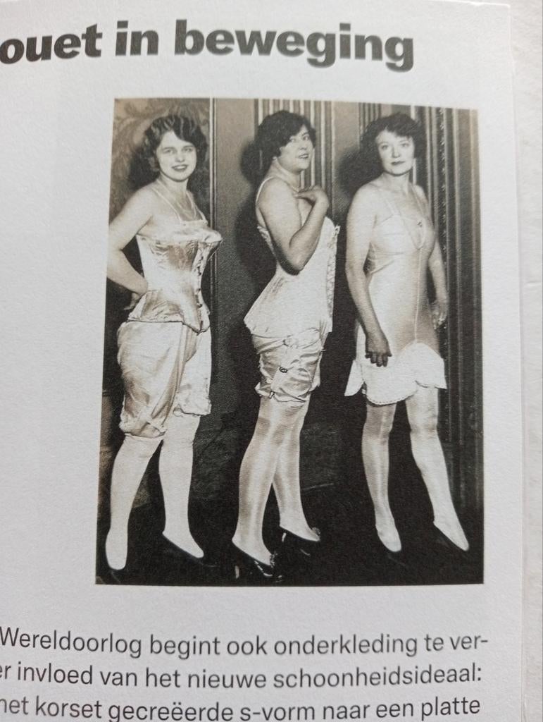 The Roaring Twenties boek, Ophalen of Verzenden, Gelezen