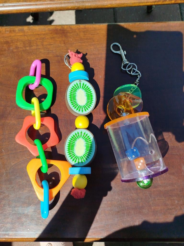 Voor klein prijsje over te nemen speelgoed valkparkiet, Mannelijk, Parkiet