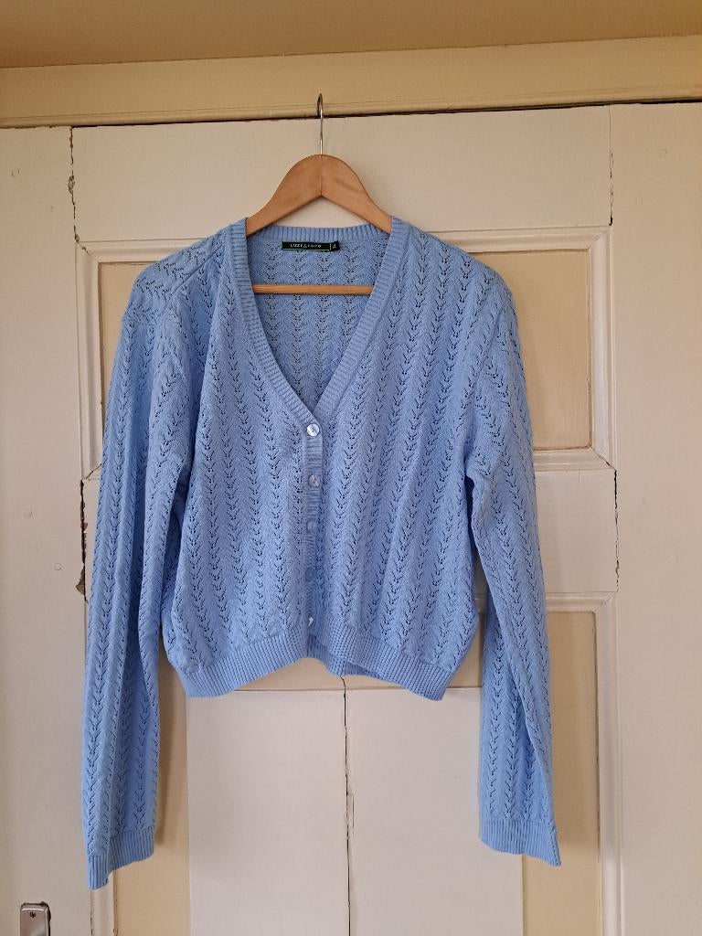 Lizzy & Coco lichtblauw ajour vestje Elise xl, Blauw, Maat 46/48 (XL) of groter, Nieuw, Ophalen of Verzenden