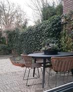 Tuintafel Hartman rond 128 cm met 5 WOOD stoelen, Tuin en Terras, Ophalen, Gebruikt, Kunststof, 5 zitplaatsen