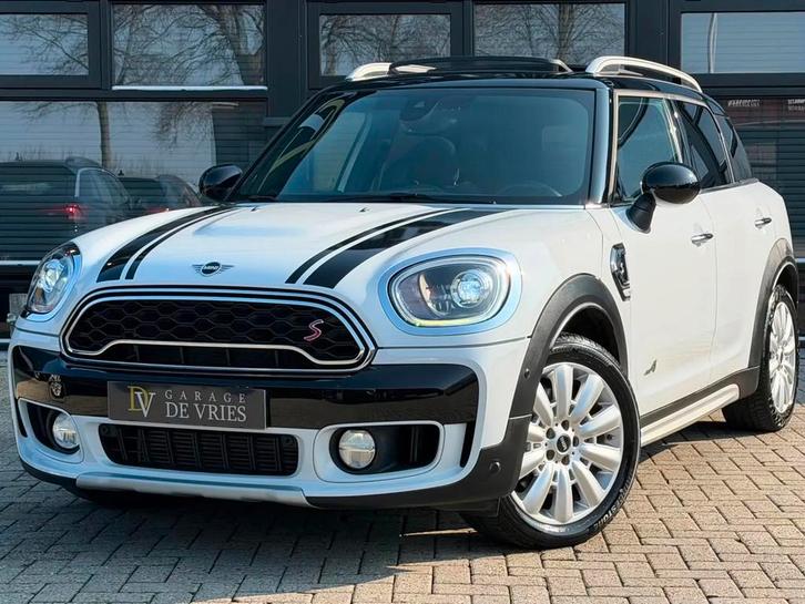 MINI Countryman 2.0 Cooper S ALL4 Chili Aut Pan € 21.900,0, Auto's, Mini, Bedrijf, Lease, Persoonlijke lening, Countryman, ABS