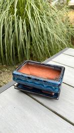 Bonsai bakje inclusief bijpassende onderschotel, blauw., Rond, Ophalen of Verzenden, Zo goed als nieuw, Aardewerk