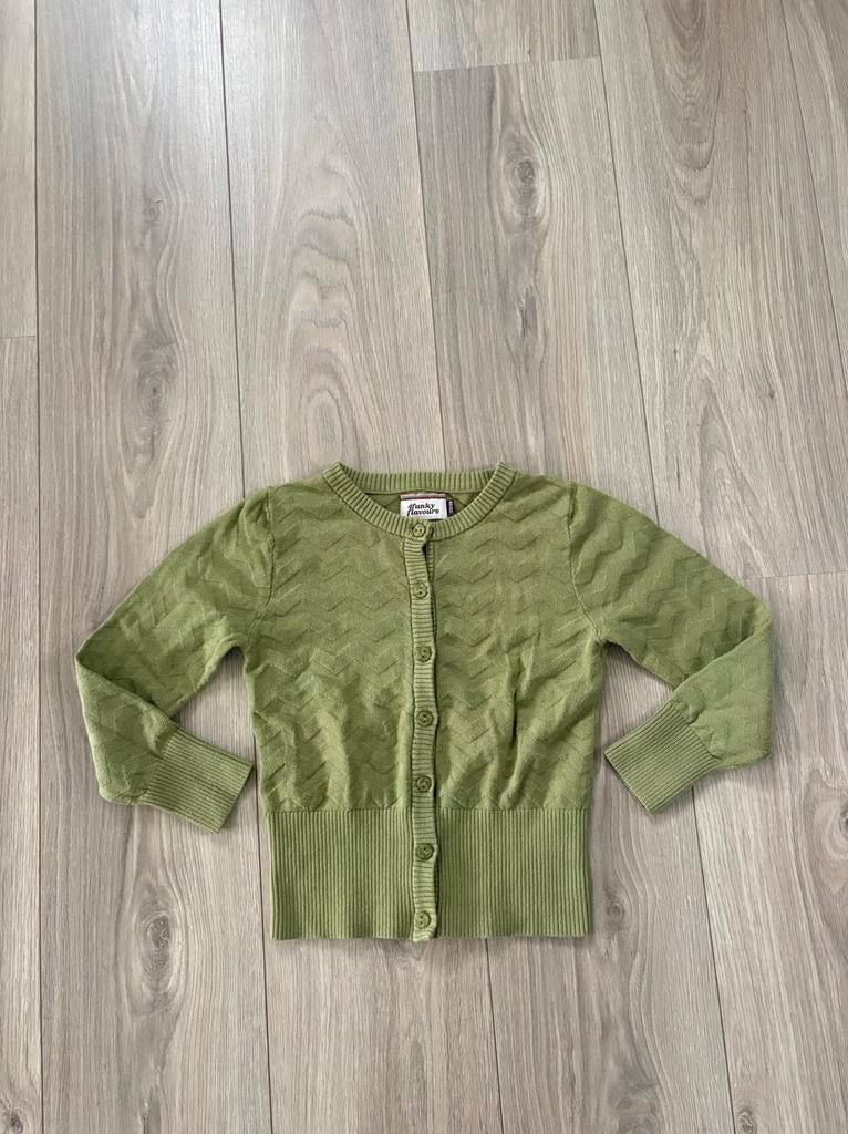 Mooi en fijn groen 4FunkyFlavours vestje - maat 122, Ophalen of Verzenden, Zo goed als nieuw, Meisje, Trui of Vest