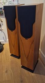 Chario Syntar 200 luidsprekers high end, Ophalen, 120 watt of meer, Front, Rear of Stereo speakers, Overige merken