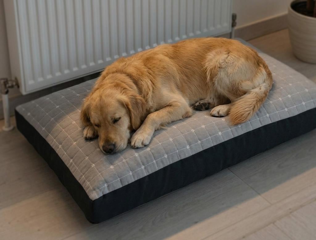 Kussen, Huis en Inrichting, Woonaccessoires | Kussens, Ophalen of Verzenden, Nieuw, Vierkant