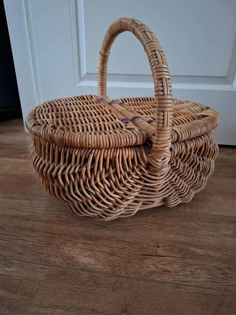 Rotan lectuurmand/picknickmand, Ophalen, Minder dan 50 cm, Zo goed als nieuw, Minder dan 100 cm