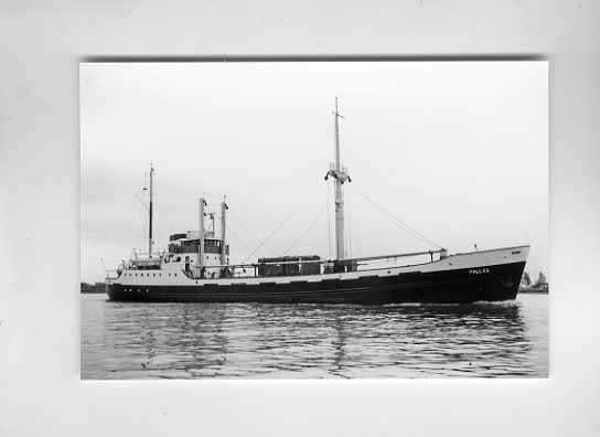 scheepvaart-foto-KNSM-amsterdam-pallas,, Verzamelen, Scheepvaart, Ophalen of Verzenden, Zo goed als nieuw, Boek of Tijdschrift