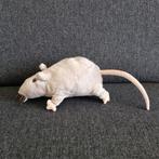 Ikea rat gosig ratta, Ophalen of Verzenden