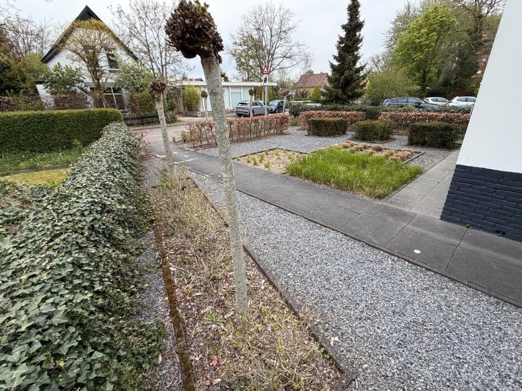 Tuin- en klusjesman gezocht, vast werk, regio Schoorl, Diensten en Vakmensen, Tuinmannen en Stratenmakers, Tuinonderhoud of Snoeiwerk