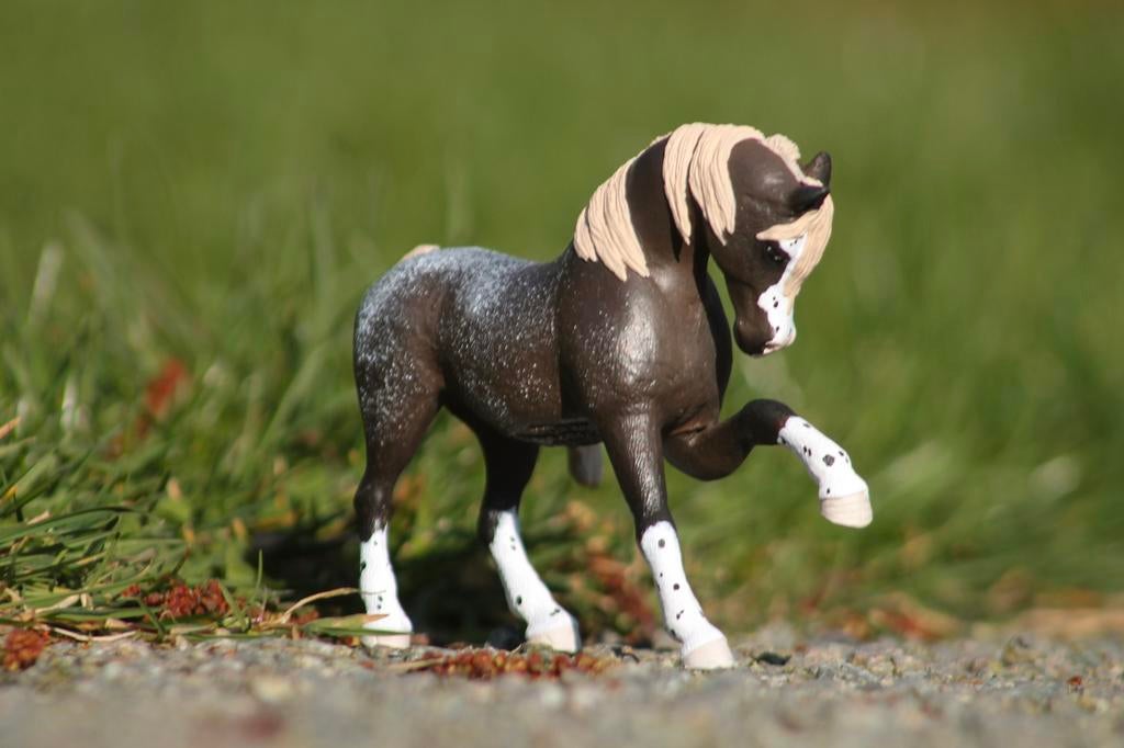 Schleich repaint, custom arabier merrie, Ophalen of Verzenden, Zo goed als nieuw, Paard, Beeldje of Figuurtje