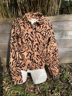 Jasje Fabienne Chapot maat 36 ZGAN, Ophalen of Verzenden, Zo goed als nieuw, Maat 36 (S)