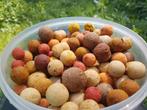 Voerboilies voer boilies readymade en freezerbaits boilie, Ophalen of Verzenden, Nieuw, Overige typen