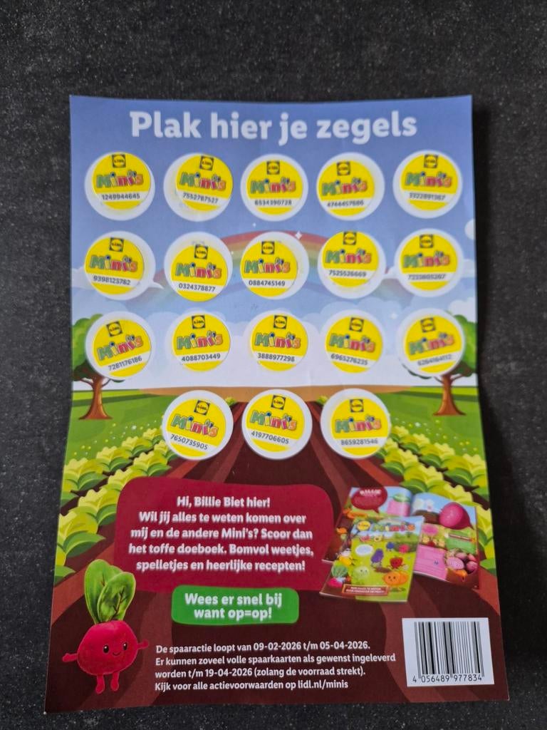 Lidl mini's spaarkaarten, Ophalen of Verzenden, Winkel, Super of Benzinepomp, Volle spaarkaart