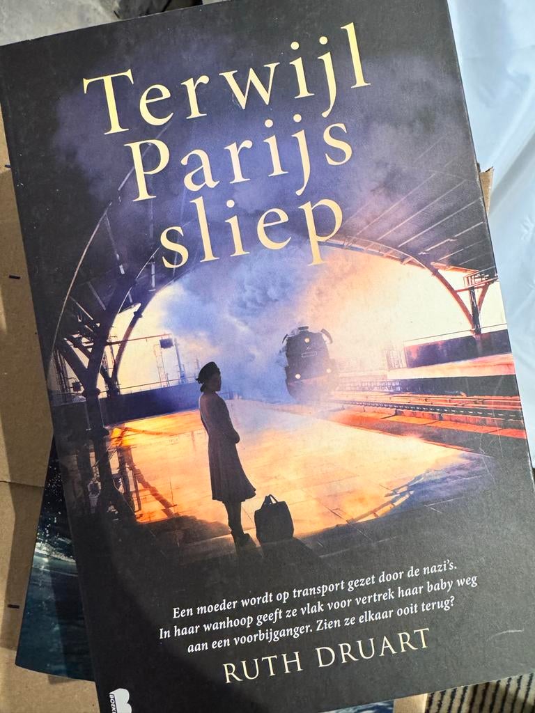 Terwijl Parijs sliep - Ruth Druart - Nieuw, Boeken, Ophalen of Verzenden, Nieuw, Nederland