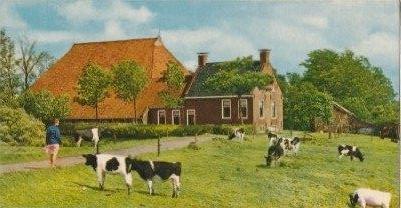 Friesland, Verzenden, 1940 tot 1960, Gelopen, Friesland