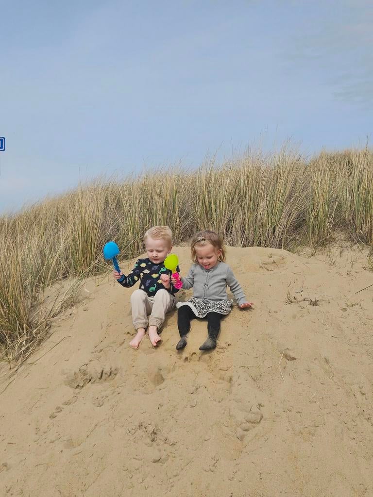 Oppas aangeboden, Ophalen, Overige typen