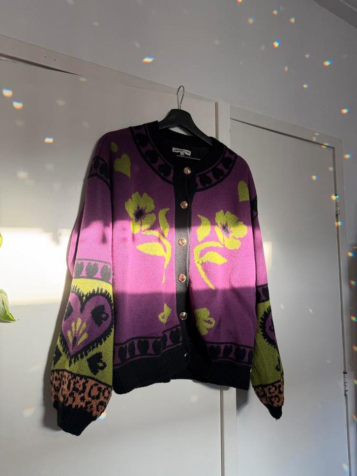 Harper & Yve Jazz vest paars panterprint maat M, Kleding | Dames, Truien en Vesten, Zo goed als nieuw, Maat 38/40 (M), Paars, Ophalen of Verzenden