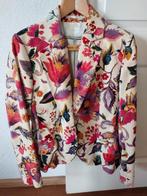 Erny van Reijmersdal fluwelen dames colbert maat 38_40, Kleding | Dames, Ophalen of Verzenden, Zo goed als nieuw, Maat 38/40 (M)