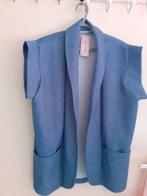 gilets, Ophalen, Nieuw, Maat 46/48 (XL) of groter, Blauw