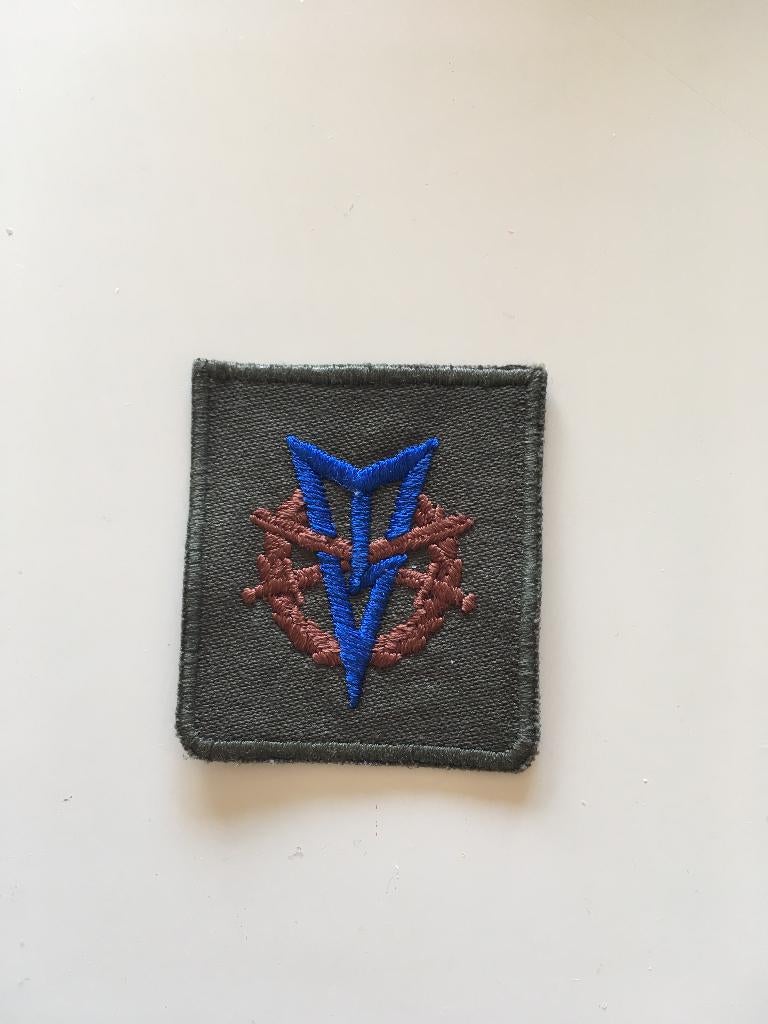 Borstembleem 5x5 landmacht MLV met zwemmen kleur, Verzenden, Landmacht, Nederland, Embleem of Badge