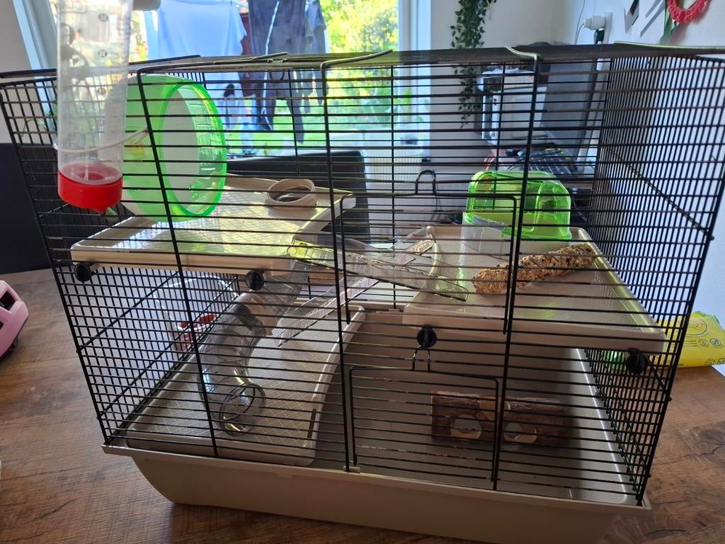 Hamsterkooi met accessoires, Kooi, Minder dan 75 cm, Zo goed als nieuw, Ophalen