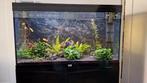 Aquarium 180 liter met meubel., Dieren en Toebehoren, Vissen | Aquaria en Toebehoren, Ophalen, Zo goed als nieuw, Gevuld zoetwateraquarium