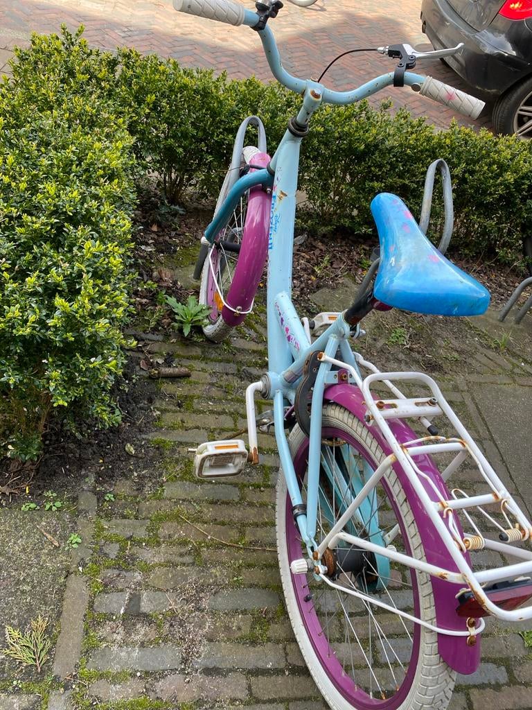 Elsa Frozen meisjesfiets 20 inch, Ophalen, Gebruikt, 20 inch, Handrem