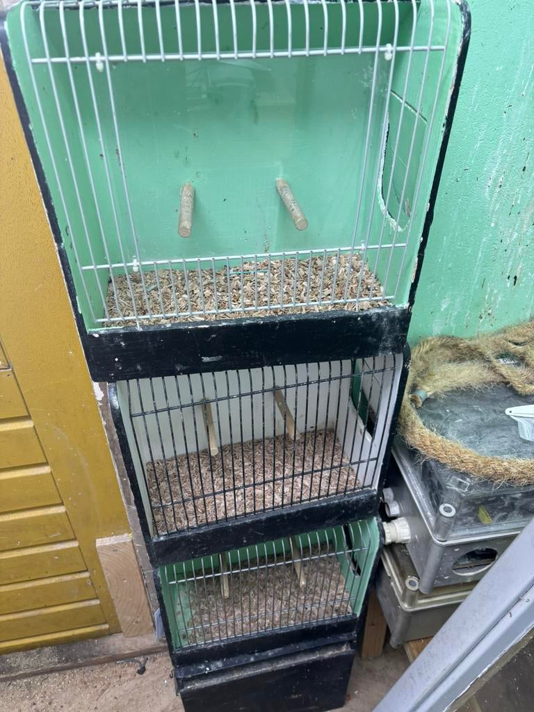 Tentoonstelling/ verkoop kooien, Dieren en Toebehoren, Vogels | Hokken en Kooien, Ophalen, Gebruikt, Hout, Vogelkooi