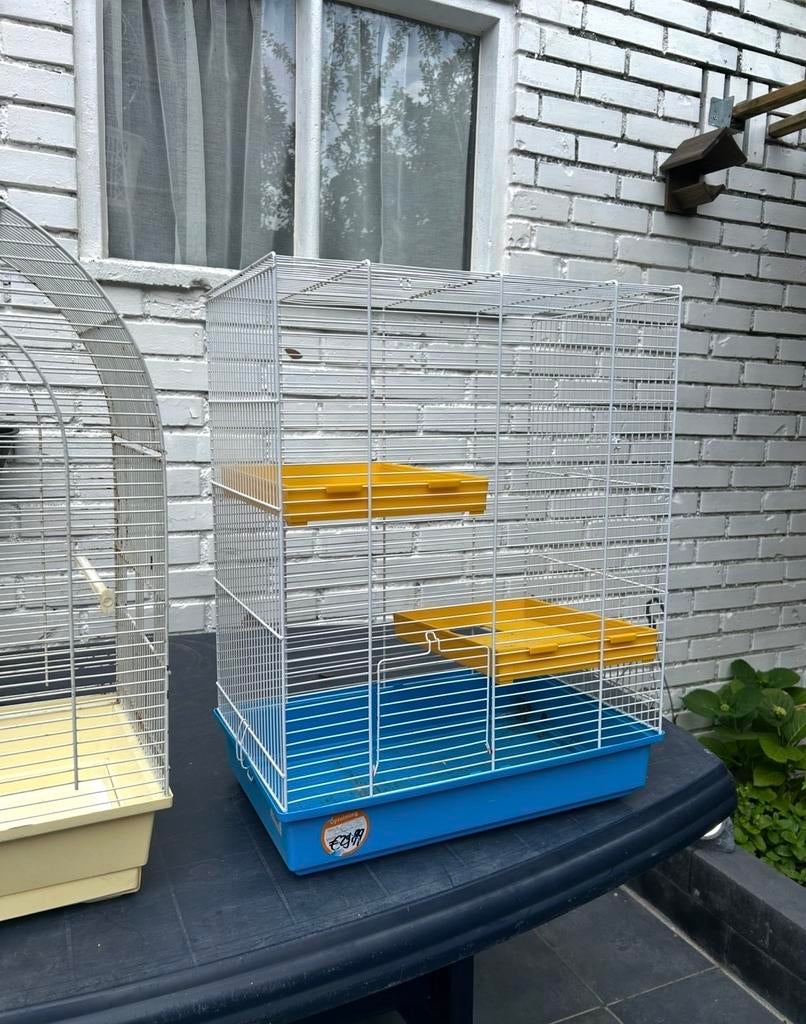 Kooien, Ophalen of Verzenden, Hout, Vogelkooi