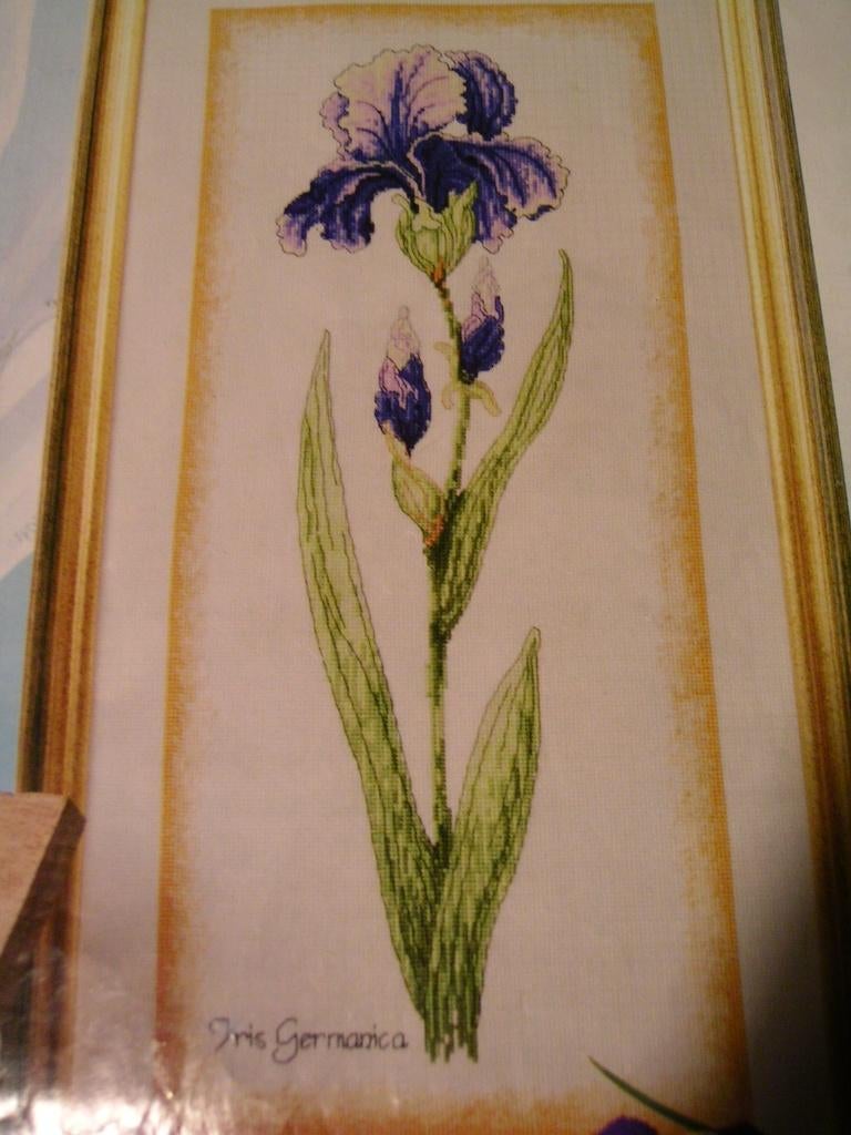 Z.G.A.N., Origineel, Patroon Botanical Iris. Verkoop ook DMC, Hobby en Vrije tijd, Borduren en Borduurmachines, Ophalen of Verzenden