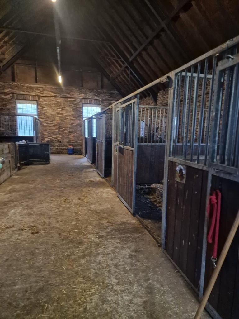 Te huur paardenstal, Stalling