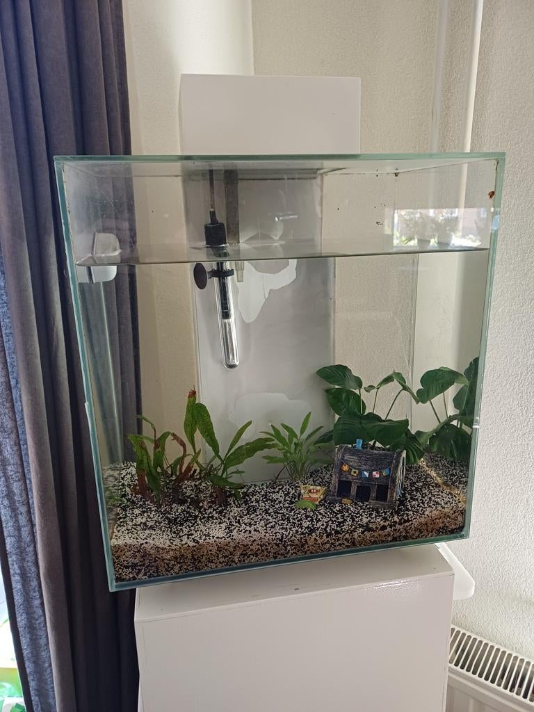 Fluval Egde aquarium, Ophalen, Leeg aquarium