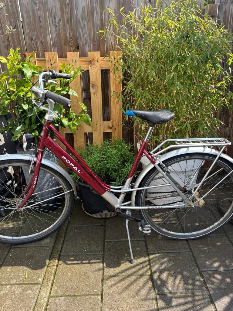 Popal damesfiets, Ophalen, Zo goed als nieuw
