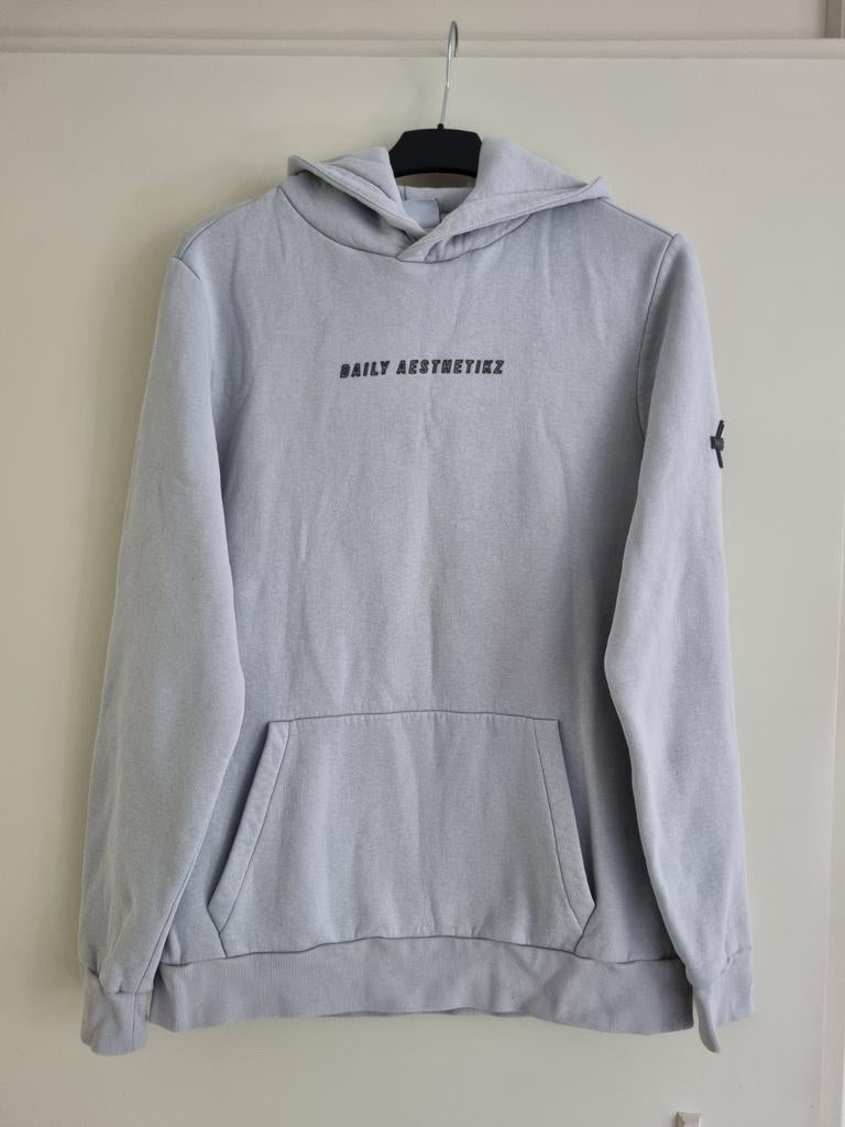 Trui / hoodie voor heren -- maat L -- Daily Aesthetikz, Kleding | Heren, Truien en Vesten, Maat 52/54 (L), Ophalen of Verzenden