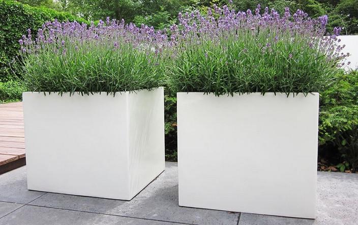 Set plantenbakken wit, Tuin en Terras, Bloembakken en Plantenbakken, Overige materialen, Vierkant, Nieuw, Ophalen of Verzenden