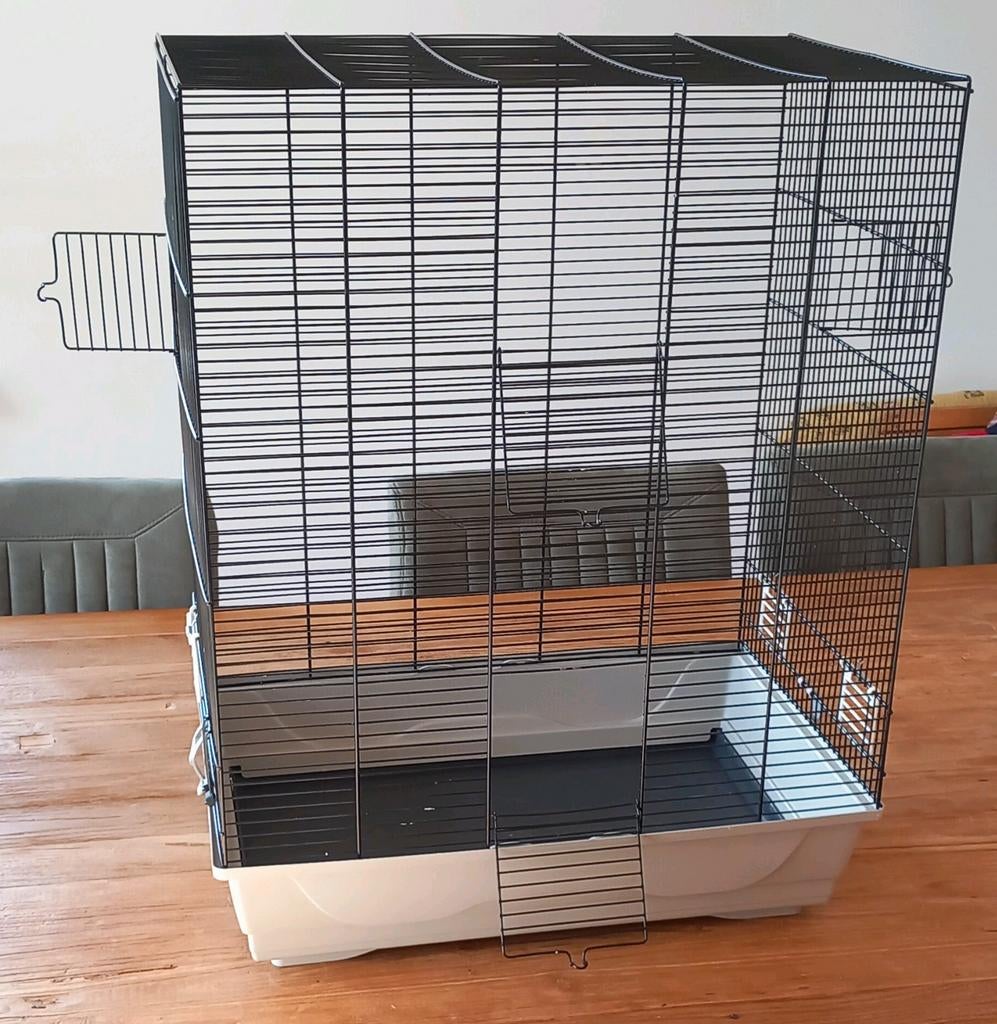 Vogelkooi Ambra 74cm hoog, Dieren en Toebehoren, Vogels | Hokken en Kooien, Vogelkooi, Metaal, Ophalen