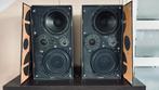 Bang & Olufsen Beovox 5700 Type 6253 Vintage Hi-Fi speakers, Gebruikt, Minder dan 60 watt, Front, Rear of Stereo speakers, Ophalen