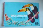 3PLAATJES ALBUMS VAN VOGELPRACHT, ROOFVOGELS EN STELTLOPERS, Verzenden, Zo goed als nieuw, A.B. WIGMAN , HEINZ, Plaatjesalbum