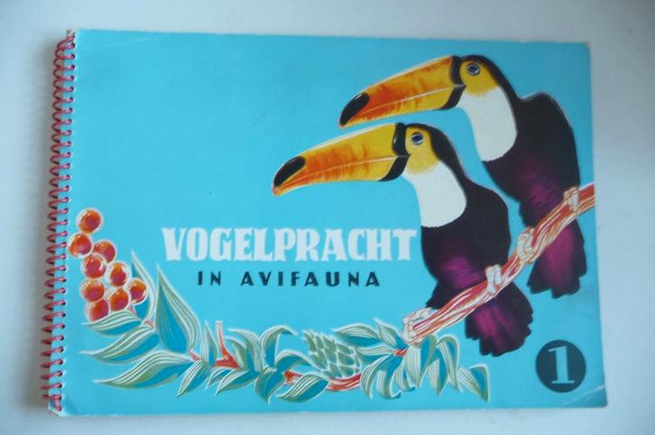 3PLAATJES ALBUMS VAN VOGELPRACHT, ROOFVOGELS EN STELTLOPERS, Boeken, Prentenboeken en Plaatjesalbums, Zo goed als nieuw, Plaatjesalbum