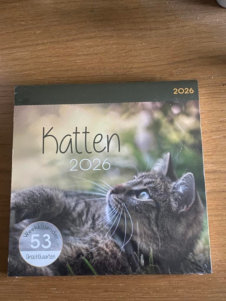 Katten ansichtkaarten week kalender 2026, Ophalen of Verzenden, Weekkalender, Nieuw