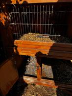 Gebruikt konijnenhok, Ophalen, 90 cm of meer, Konijn, Hok