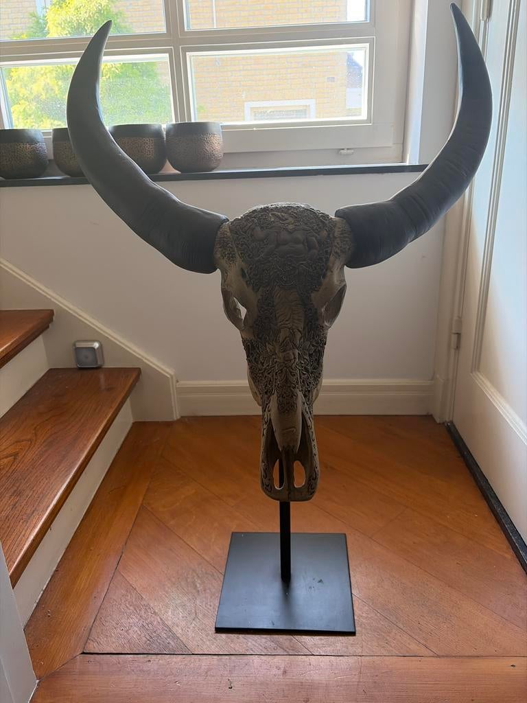 Decoratieve Buffelschedel met Hoorns op Standaard, Antiek en Kunst, Ophalen of Verzenden