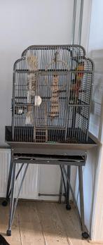 Original Strong papegaaienkooi Andrea, Ophalen, Zo goed als nieuw, Metaal, Vogelkooi