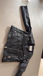 Stoer bikerjack / jas Cars maat 128, Ophalen of Verzenden, Zo goed als nieuw, Jongen, Jas