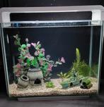 Superfish home 40 wit, compleet, Dieren en Toebehoren, Vissen | Aquaria en Toebehoren, Ophalen, Zo goed als nieuw, Gevuld zoetwateraquarium