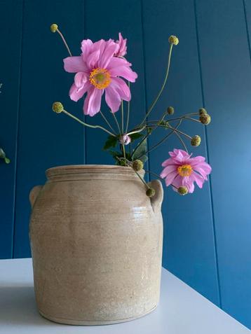 Mooie oude Franse Brocante aardewerken Grespot / Pot de Gres beschikbaar voor biedingen