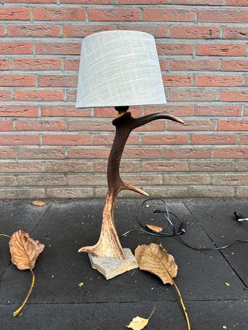 Geweilamp.schemerlamp.geweien.edelhert.damhert.tafellamp. beschikbaar voor biedingen