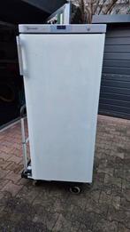 Bauknecht Koelkast - Gratis Af te Halen, Witgoed en Apparatuur, Vriezers en Diepvrieskisten, Gebruikt, 160 cm of meer, Ophalen